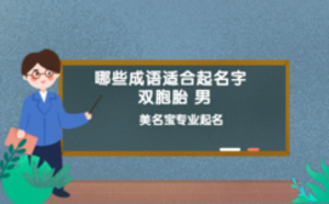 哪些成語(yǔ)適合起名字 雙胞胎 男