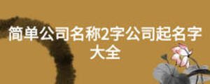 簡(jiǎn)單公司名稱2字公司起名字大全