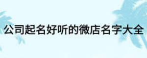 公司起名好聽(tīng)的微店名字大全