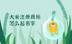大米注冊商標(biāo)怎么起名字