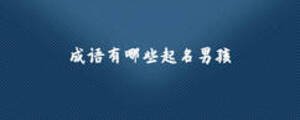 成語有哪些起名男孩