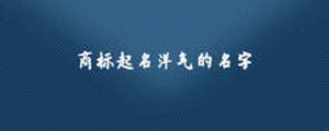 商標(biāo)起名洋氣的名字