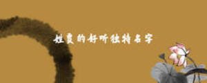 姓賈的好聽獨(dú)特名字