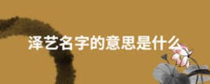 澤藝名字的意思是什么