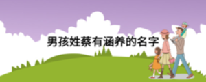 男孩姓蔡有涵養的名字