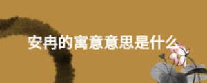 安冉的寓意意思是什么