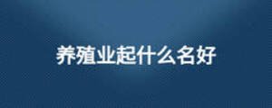 養殖業起什么名好
