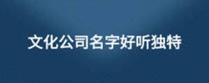 文化公司名字好聽獨特