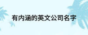 有內(nèi)涵的英文公司名字