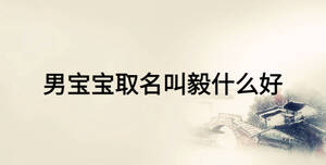 男寶寶取名叫毅什么好