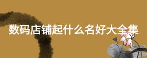 數(shù)碼店鋪起什么名好大全集