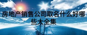 房地產銷售公司取名什么好哪些大全集