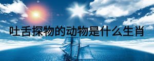 吐舌探物的動(dòng)物是什么生肖