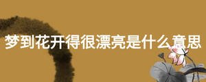 夢(mèng)到花開(kāi)得很漂亮是什么意思