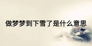 做夢夢到下雪了是什么意思