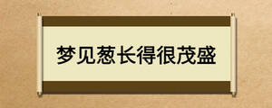 夢見蔥長得很茂盛