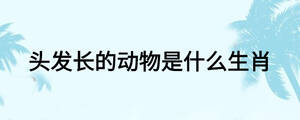 頭發長的動物是什么生肖