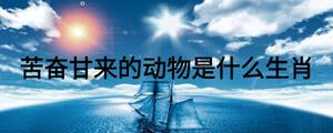 苦奮甘來的動物是什么生肖