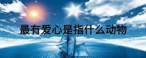最有愛心是指什么動物
