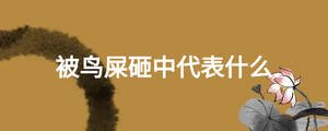 被鳥屎砸中代表什么