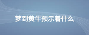 夢到黃牛預(yù)示著什么