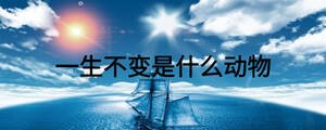 一生不變是什么動(dòng)物