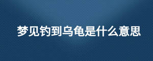 夢見釣到烏龜是什么意思