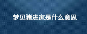 夢(mèng)見豬進(jìn)家是什么意思