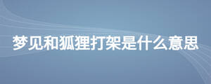 夢(mèng)見(jiàn)和狐貍打架是什么意思