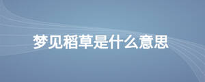 夢(mèng)見(jiàn)稻草是什么意思