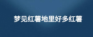 夢(mèng)見(jiàn)紅薯地里好多紅薯