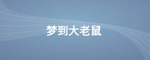 夢(mèng)到大老鼠