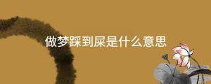 起名 - 2022-11-25T152225.167.jpg