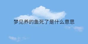 簡約藍色背景 - 2022-12-14T140948.426.jpg