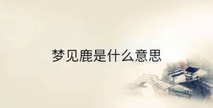 傳統(tǒng) - 2023-02-17T133728.614.jpg