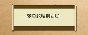 問答 - 2023-03-06T092651.185.jpg