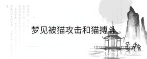 背景圖 - 2023-03-06T104232.870.jpg