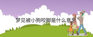 孩子起名 - 2023-03-06T101115.196.jpg