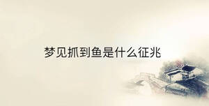 傳統(tǒng) - 2023-03-15T161204.061.jpg