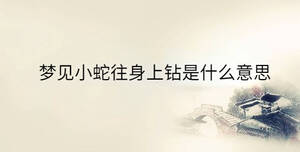 傳統 - 2023-04-26T092947.657.jpg
