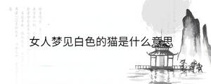 背景圖 (79).jpg