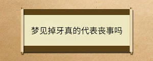 問答 - 2023-06-28T093816.085.jpg