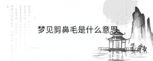 背景圖 - 2023-07-26T145100.846.jpg