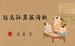 起名孫男孩詩(shī)歌